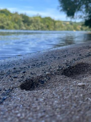 Отель La Sequana Moisson Экстерьер фото